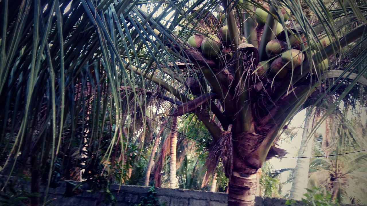 Sampathaa Residence Negombo Buitenkant foto