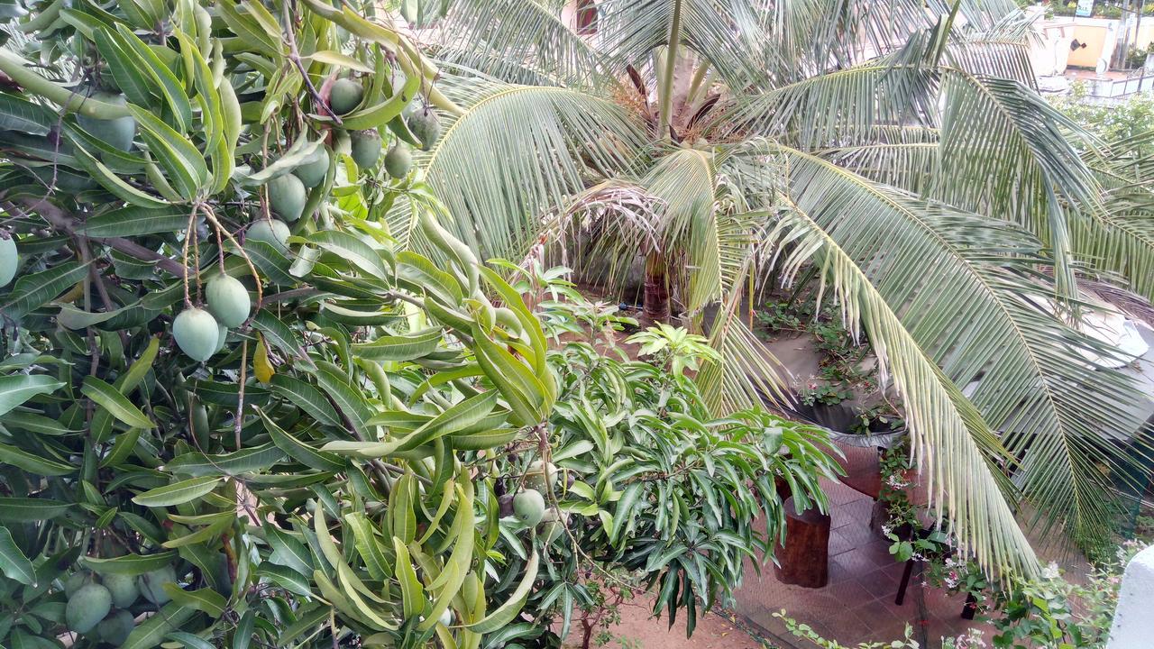 Sampathaa Residence Negombo Buitenkant foto