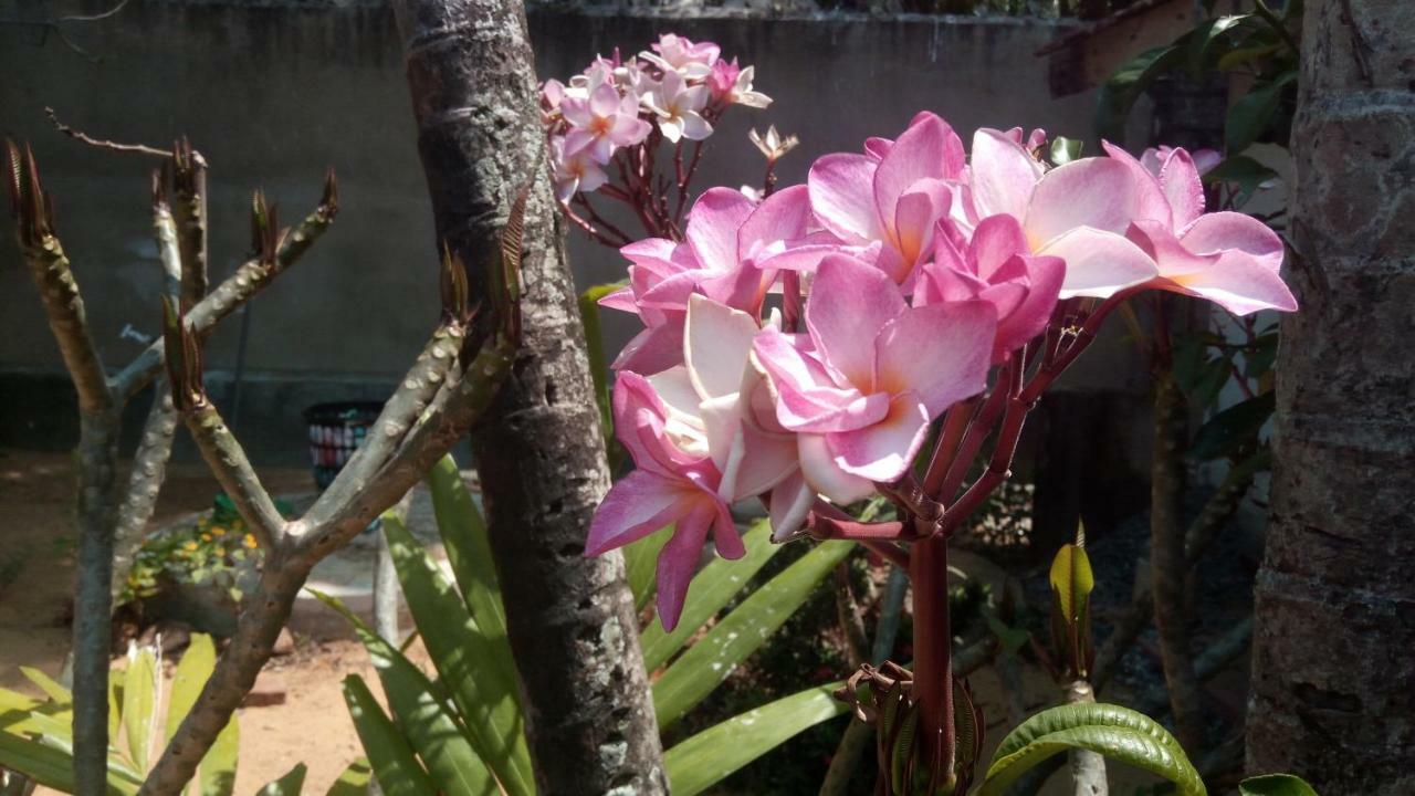 Sampathaa Residence Negombo Kamer foto