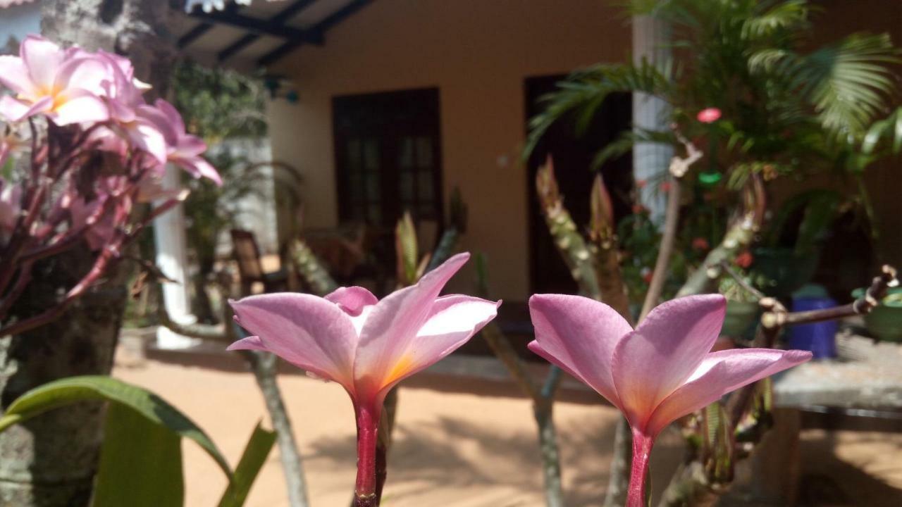 Sampathaa Residence Negombo Kamer foto